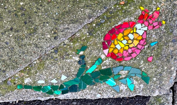 let’s build a cooperative, step 10: begin operations